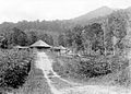 120px-COLLECTIE_TROPENMUSEUM_Sanatorium_te_Bandar_Baru_Serdang_Sumatra_TMnr_10002232 (1)